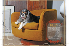 StAugHumane-Calendar-44365_Page_04