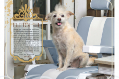 StAugHumane-Calendar-44365_Page_20