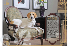 StAugHumane-Calendar-44365_Page_22