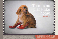 StAugHumaneSociety-2014Calendar-final proof_Page_10