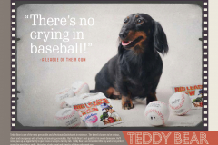 StAugHumaneSociety-2014Calendar-final proof_Page_14