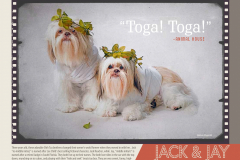 StAugHumaneSociety-2014Calendar-final proof_Page_20