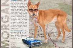 StAugHumaneSociety-2019PinUpPaws-72544_Page_03 - Copy