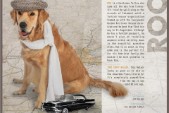 StAugHumaneSociety-2019PinUpPaws-72544_Page_07 - Copy