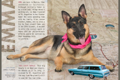 StAugHumaneSociety-2019PinUpPaws-72544_Page_11 - Copy