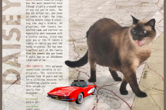 StAugHumaneSociety-2019PinUpPaws-72544_Page_12 - Copy