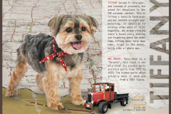 StAugHumaneSociety-2019PinUpPaws-72544_Page_13 - Copy