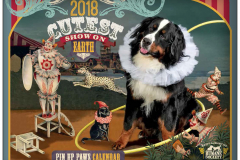 StAugustineHumaneSociety-2018PinUpPaws-63808_Page_01