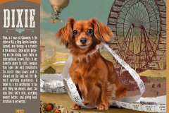 StAugustineHumaneSociety-2018PinUpPaws-63808_Page_03