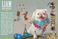 StAugustineHumaneSociety-2018PinUpPaws-63808_Page_05