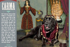 StAugustineHumaneSociety-2018PinUpPaws-63808_Page_10