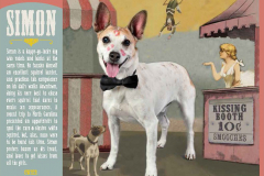 StAugustineHumaneSociety-2018PinUpPaws-63808_Page_11