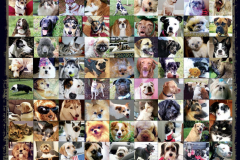 kessler proof pup 2015_Page_03