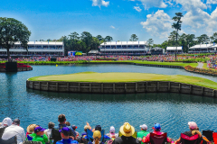 addison-fitzgerald-TPC-7
